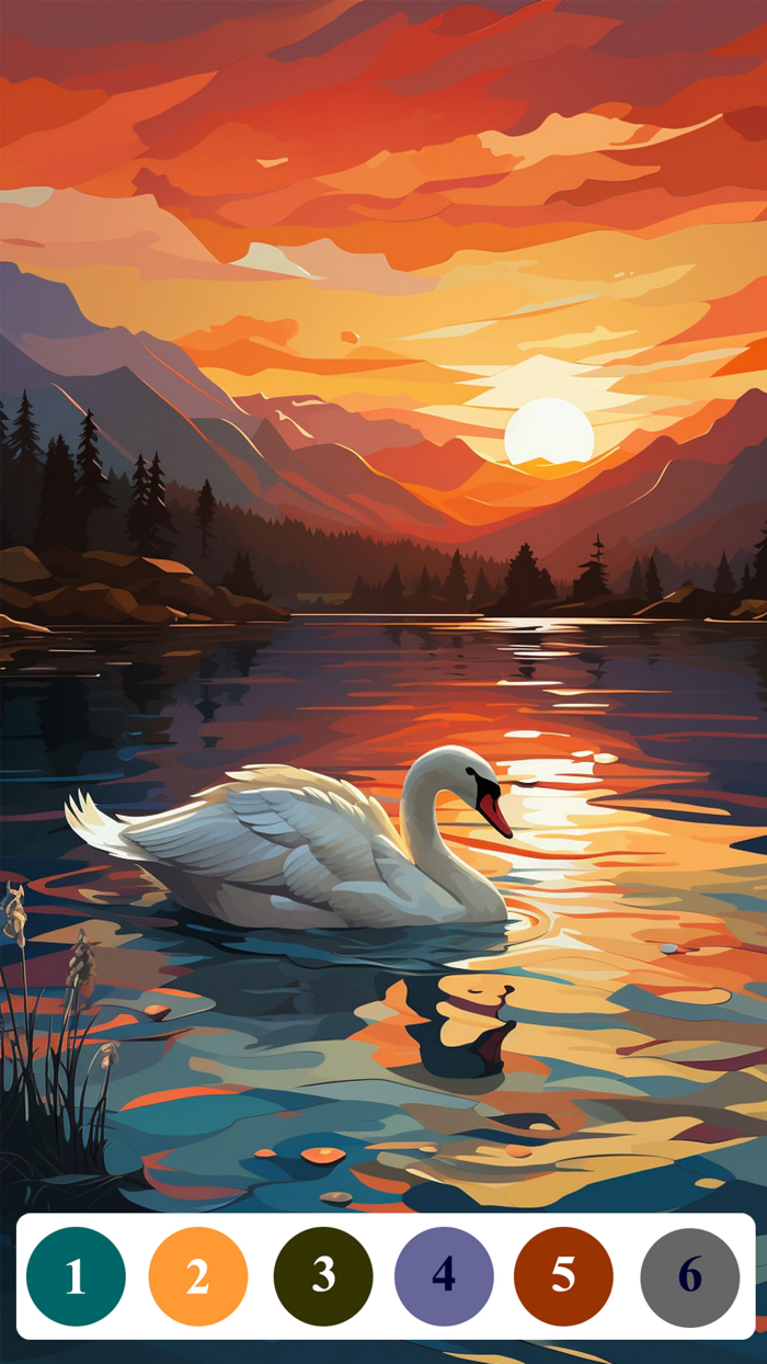 Senior Color - Paint By Number