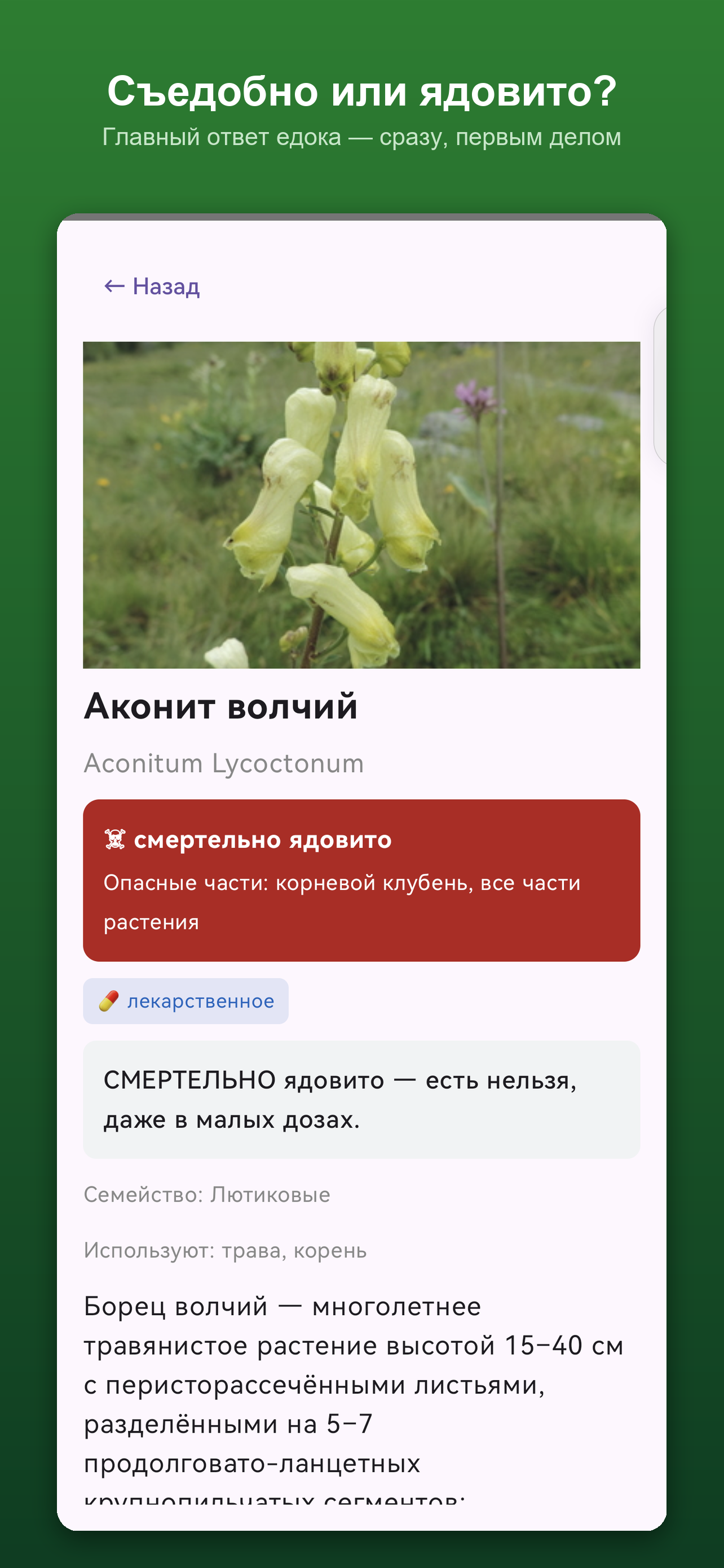 Что растёт screenshot 3