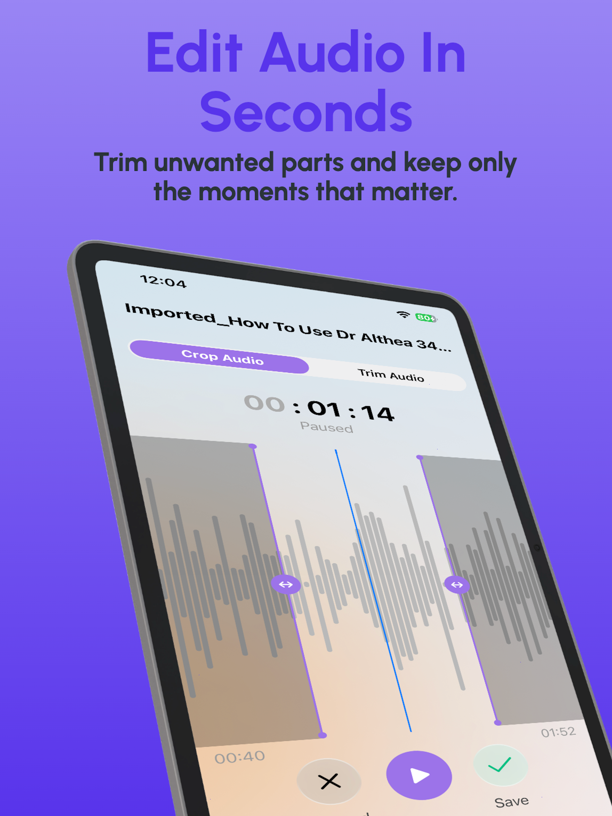 Smart Voice Recorder AI screenshot 14