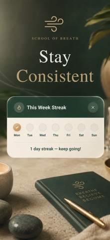The School Of Breath screenshot