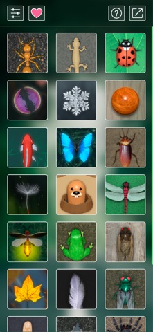 Pet Toys Screenshot 1 of 10