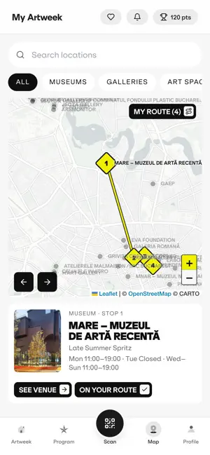 Romanian Art Week screenshot 4