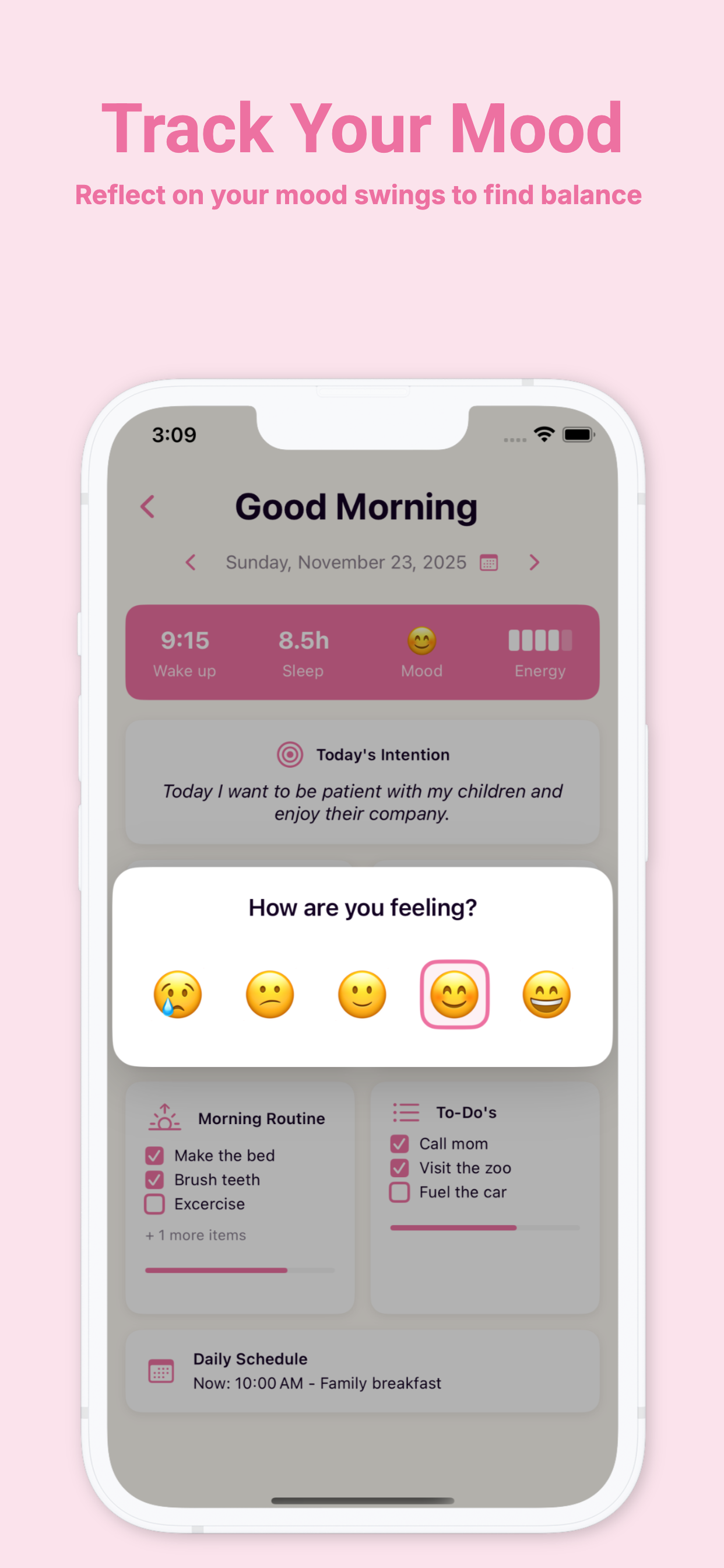 Morning Routine Evening Diary
