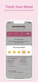 Morning Routine Evening Diary screenshot