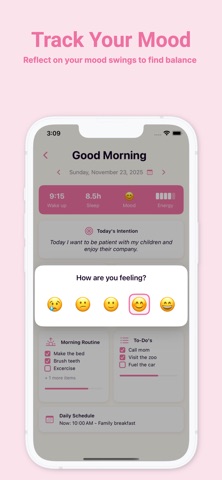 Morning Routine Evening Diary iPhone screenshot