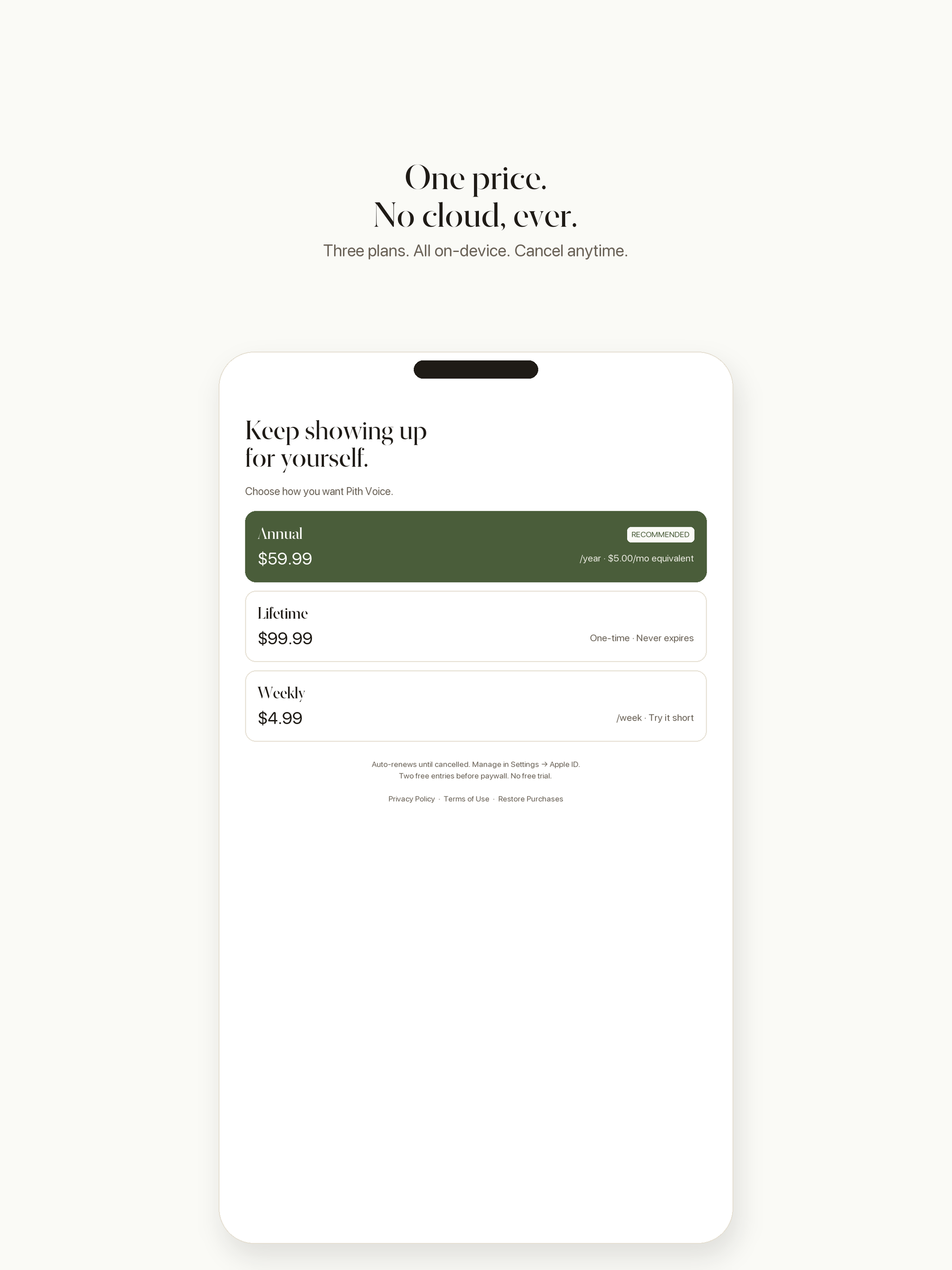 Pith Voice: AI Diary Journal screenshot 6
