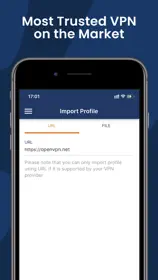 Azure VPN Client 1