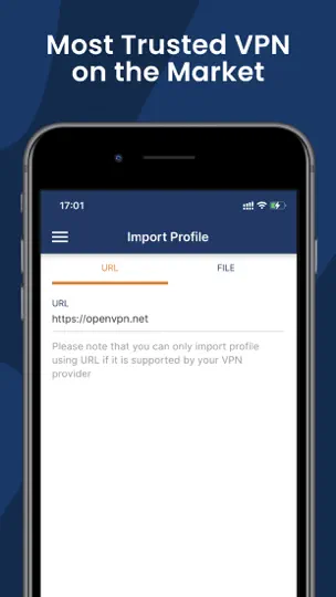 Скриншот OpenVPN Connect на iPhone 1