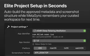 metasync - aso translation iphone images 4