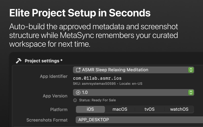 MetaSync - ASO Translation iPhone screenshot