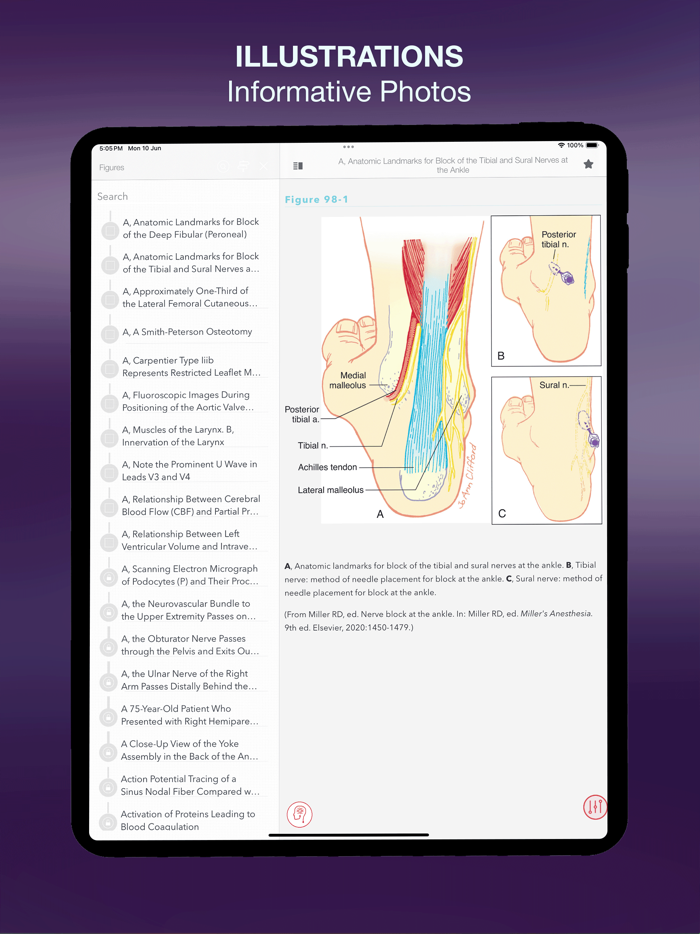 Fausts Anesthesiology Review