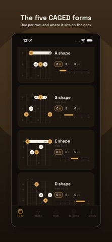 traste pro: guitar scales screenshot 1