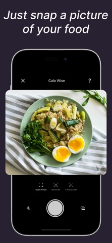 Calo Wise - Calorie Tracker screenshot