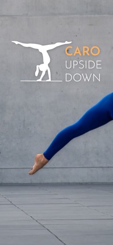 Go Upsidedown Screenshot 1 of 7