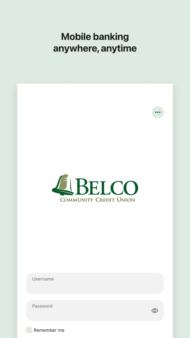 Belco Money Manager Screenshot