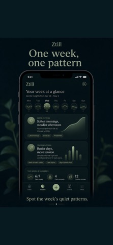 Ztill — 3-Minute Journal Screenshot 4 of 6