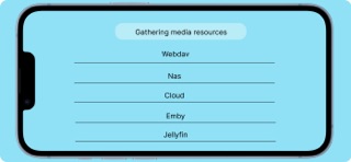 Beebox - Smart player Screenshot 4 of 5