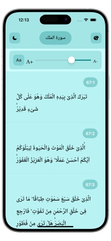 Surah Mulk Pro Reader Screenshot 4 of 4