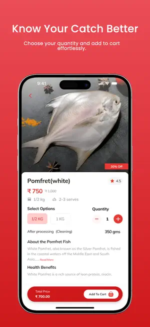 Day Catch screenshot 3