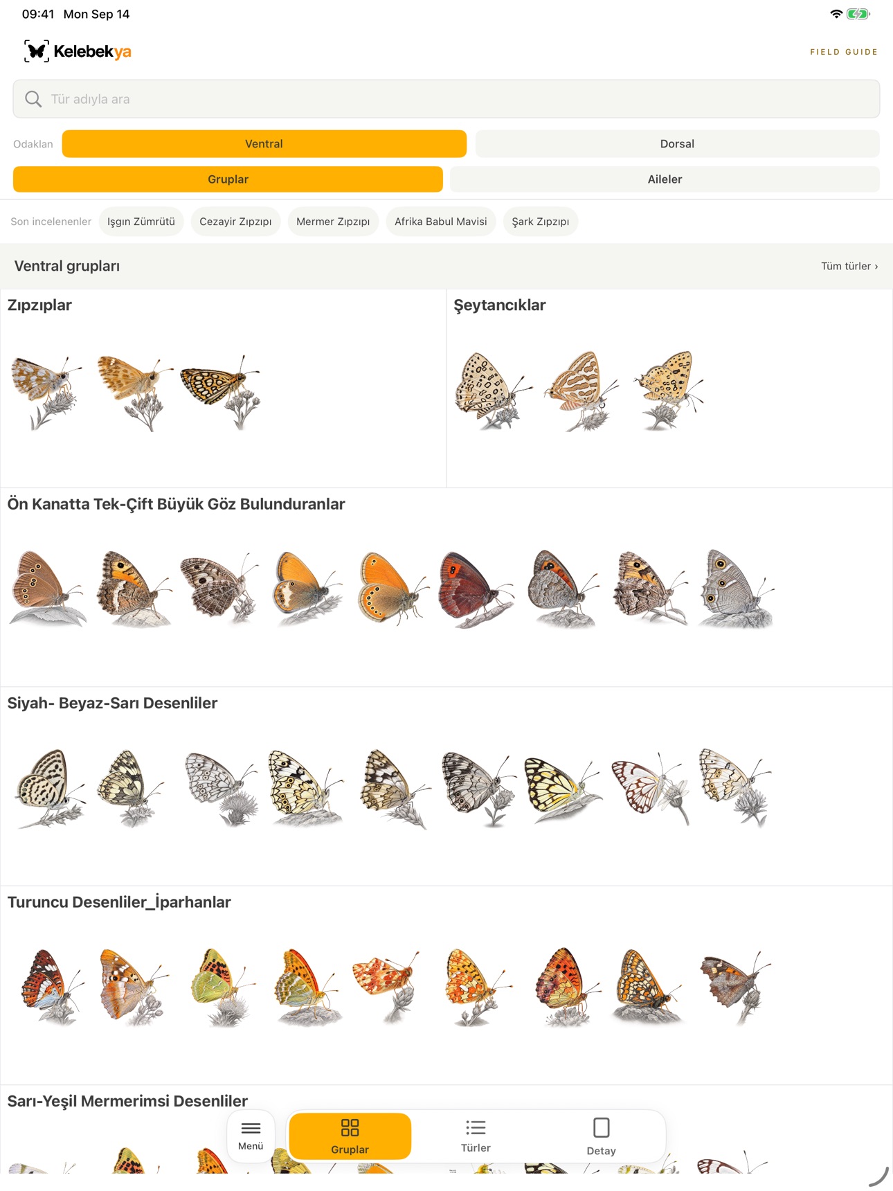 Screenshot 5 of Kelebekya Field Guide