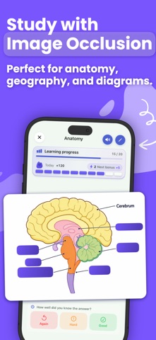 Flashcards in Widgets: Mnemo Screenshot 3 of 10