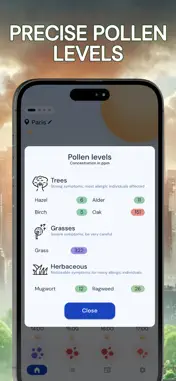 Pollution • Pollen • Widget screenshot 2