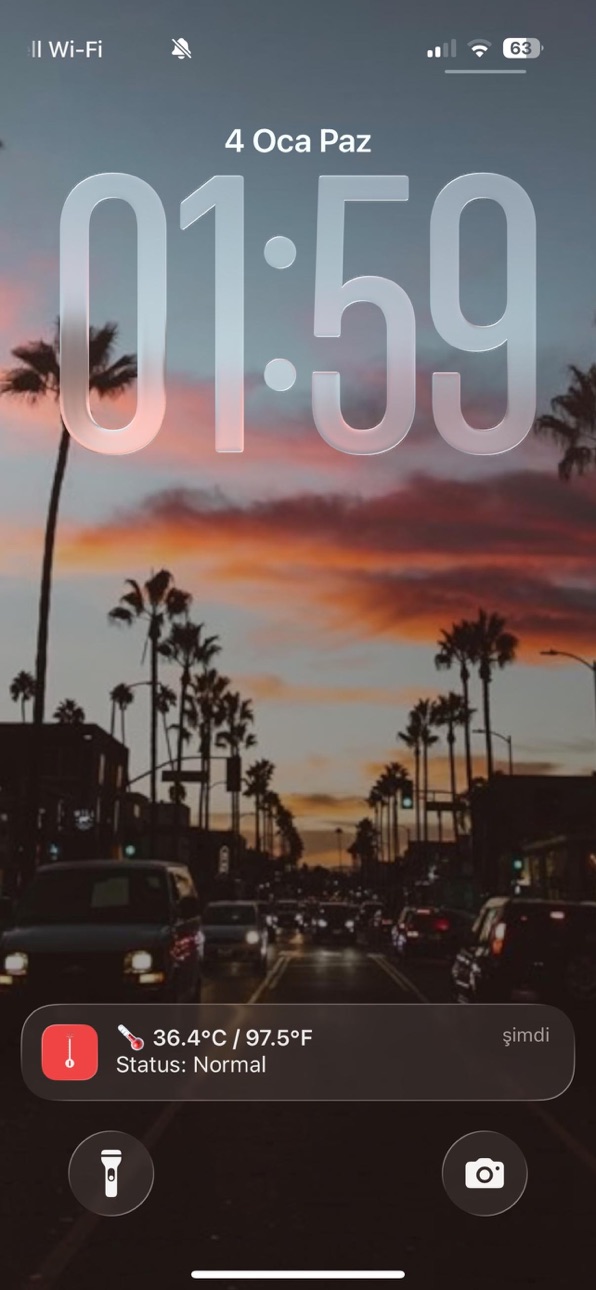 iPhone screenshot