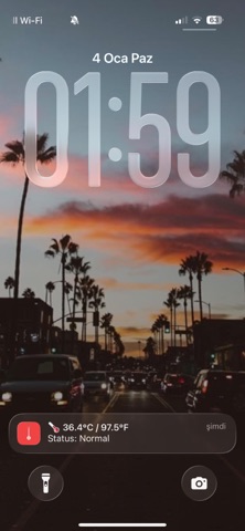 Phone Temperature iPhone screenshot