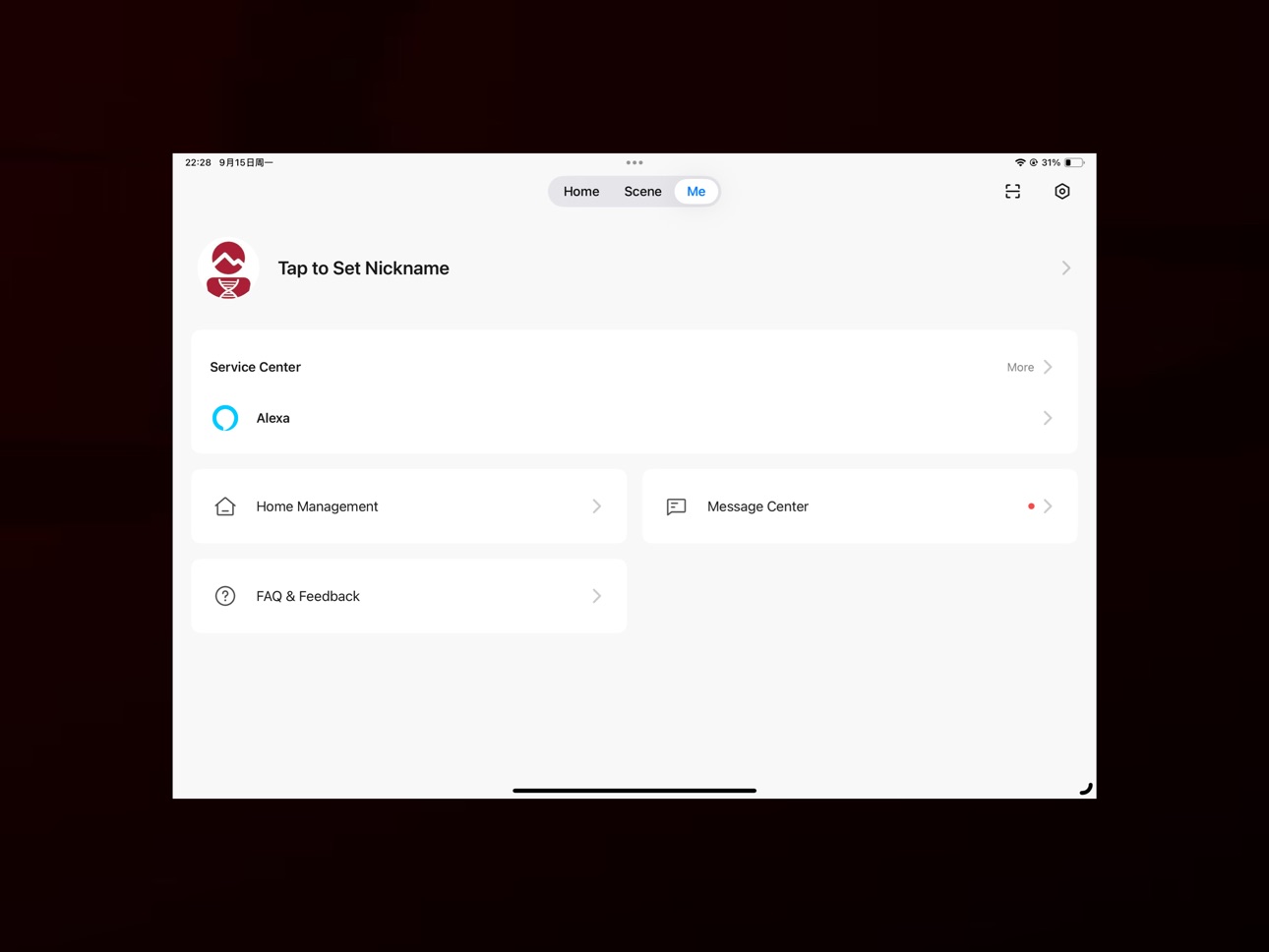 iPad screenshot
