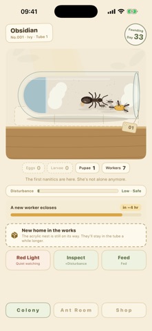 Queen Ant Screenshot 3 of 5