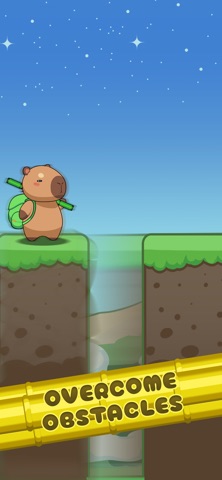 Bridge Worker Screenshot 3 of 5