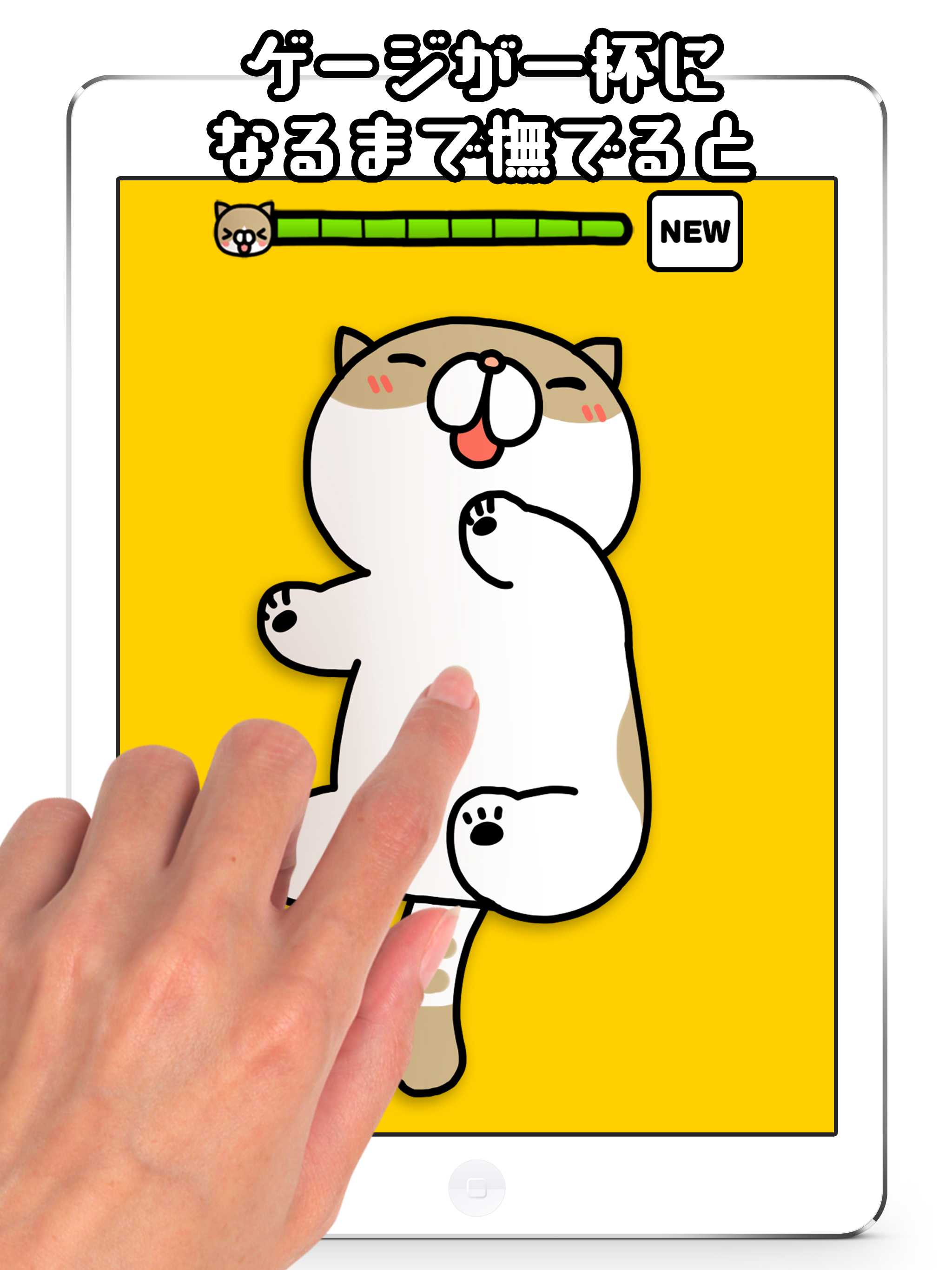 Tickling cat