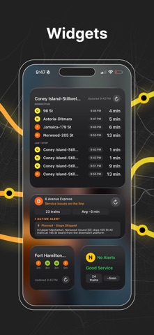 AP Transit - NYC Subway Map screenshot
