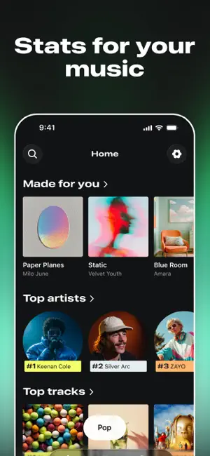 Spotify Stats: Music & Artists screenshot 1