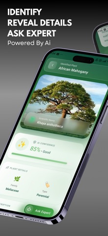 Tree Identifier ID screenshot