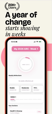 12WKS: The System screenshot