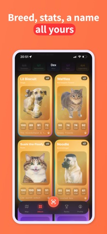 Pawnce: Catch Cats & Dogs iPhone screenshot