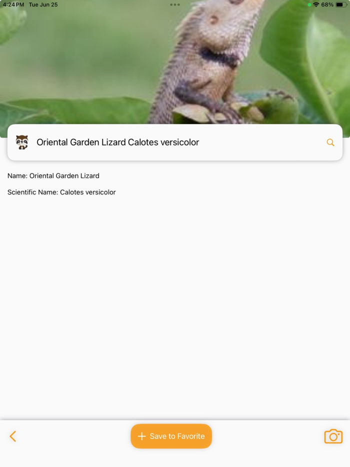 Animal Identifier AI Scanner