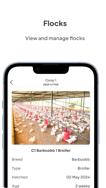 Kukufarm: poultry farm manager