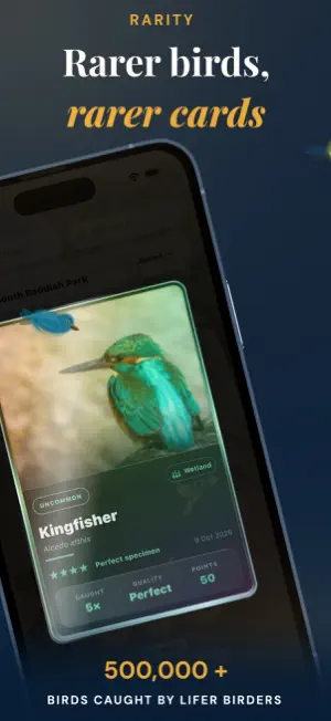 Lifer - Bird ID & Birding screenshot 3
