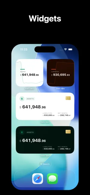 Balx - Assets & Liabilities screenshot 4