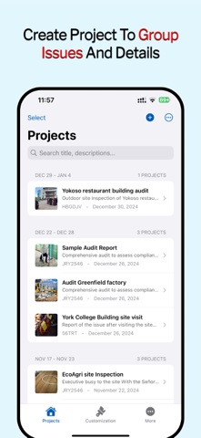 Audit Master -Site Check Pro screenshot