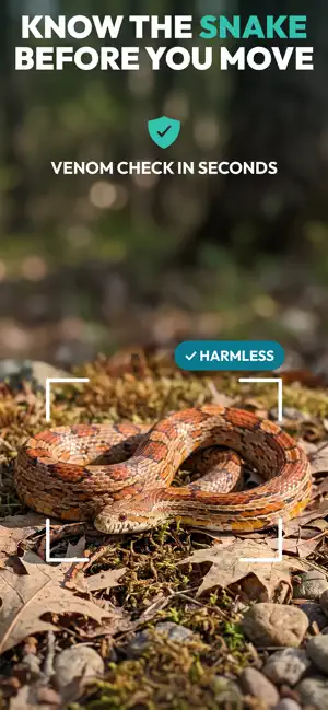 Primo Snake - Snake Identifier screenshot 1