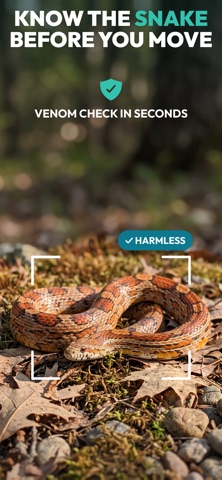 Primo Snake - Snake Identifier Screenshot 1 of 6