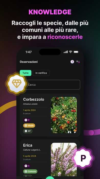 Screenshot #2 pour Biodiversa: Scatta & Proteggi