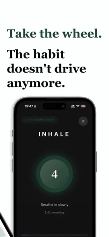 NYZ — Quit Nicotine Pouches iPhone screenshot