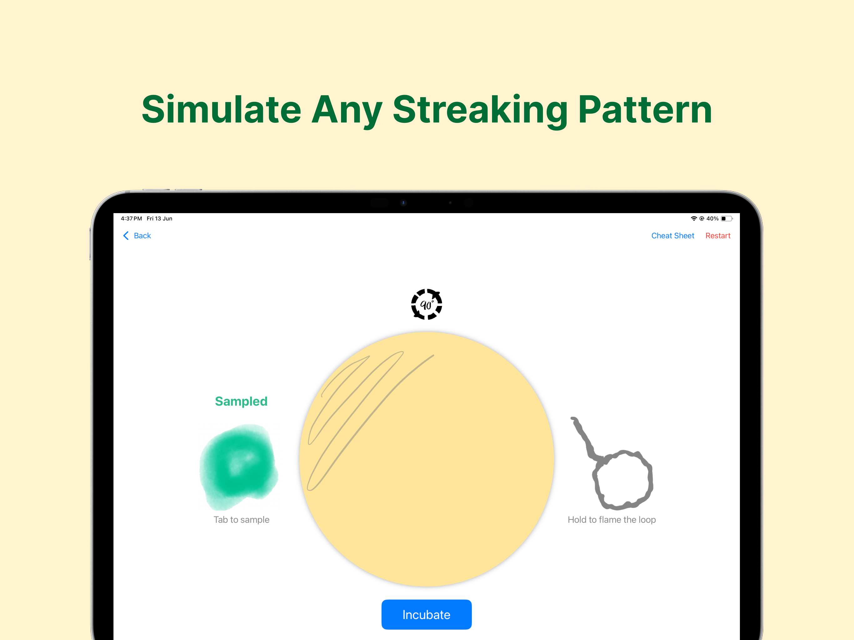 StreakLab! – Microbiology Lab screenshot 3