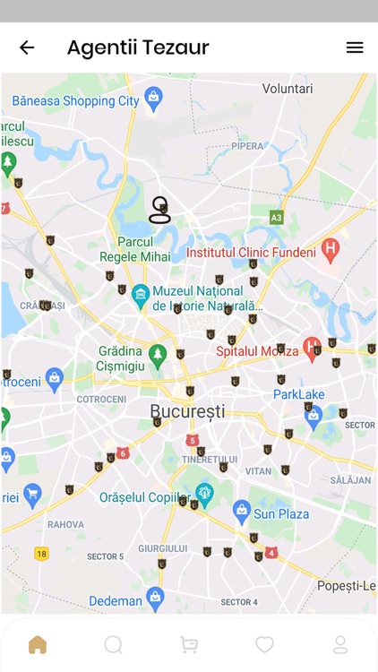 Tezaur Shop screenshot-3