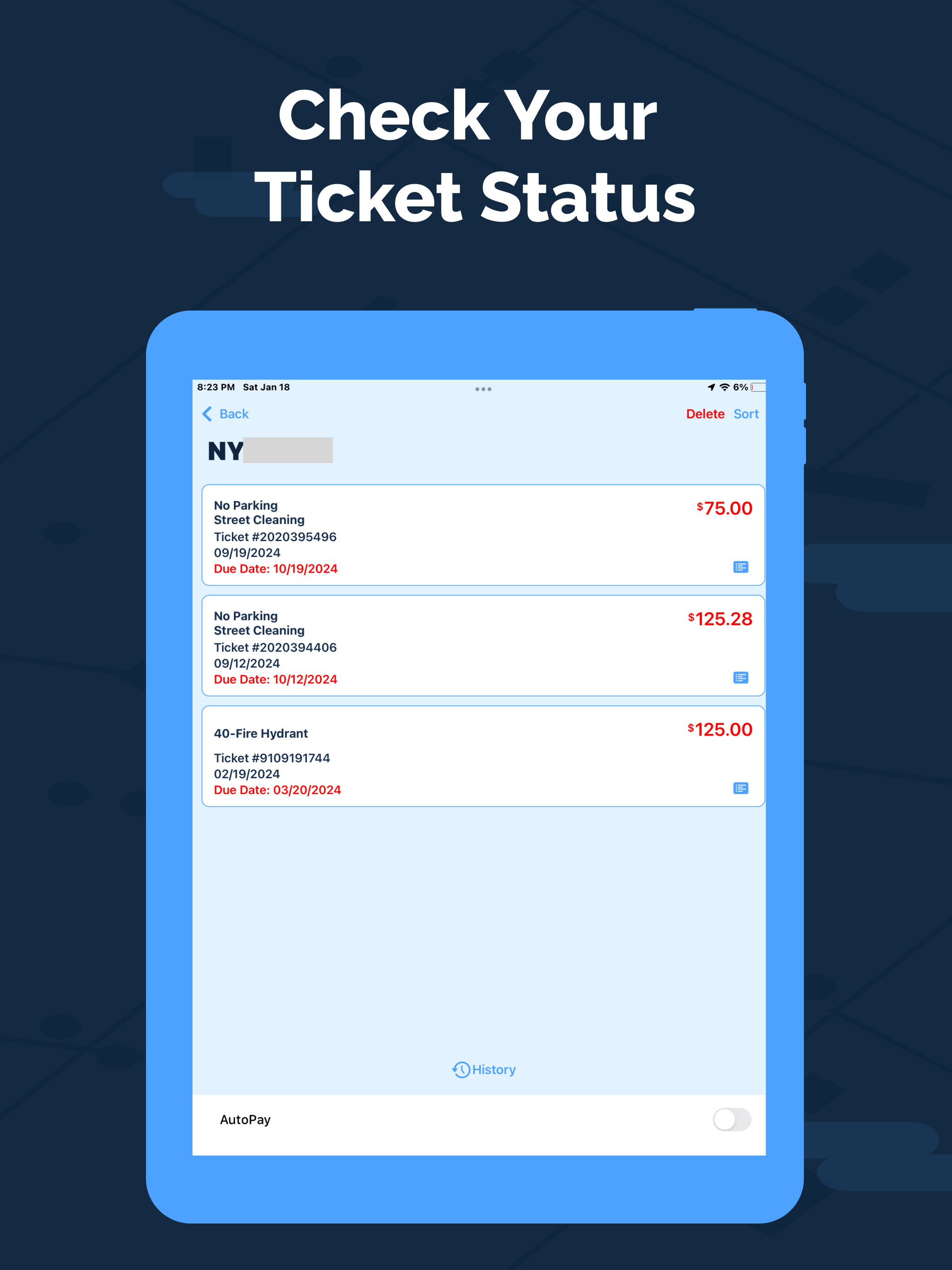 Wayron NYC AI Driver Assistant