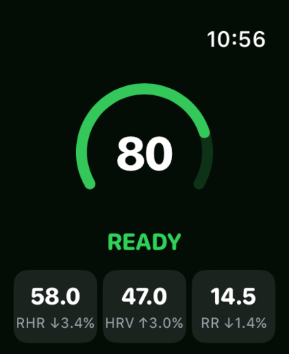 RunReady Copilot